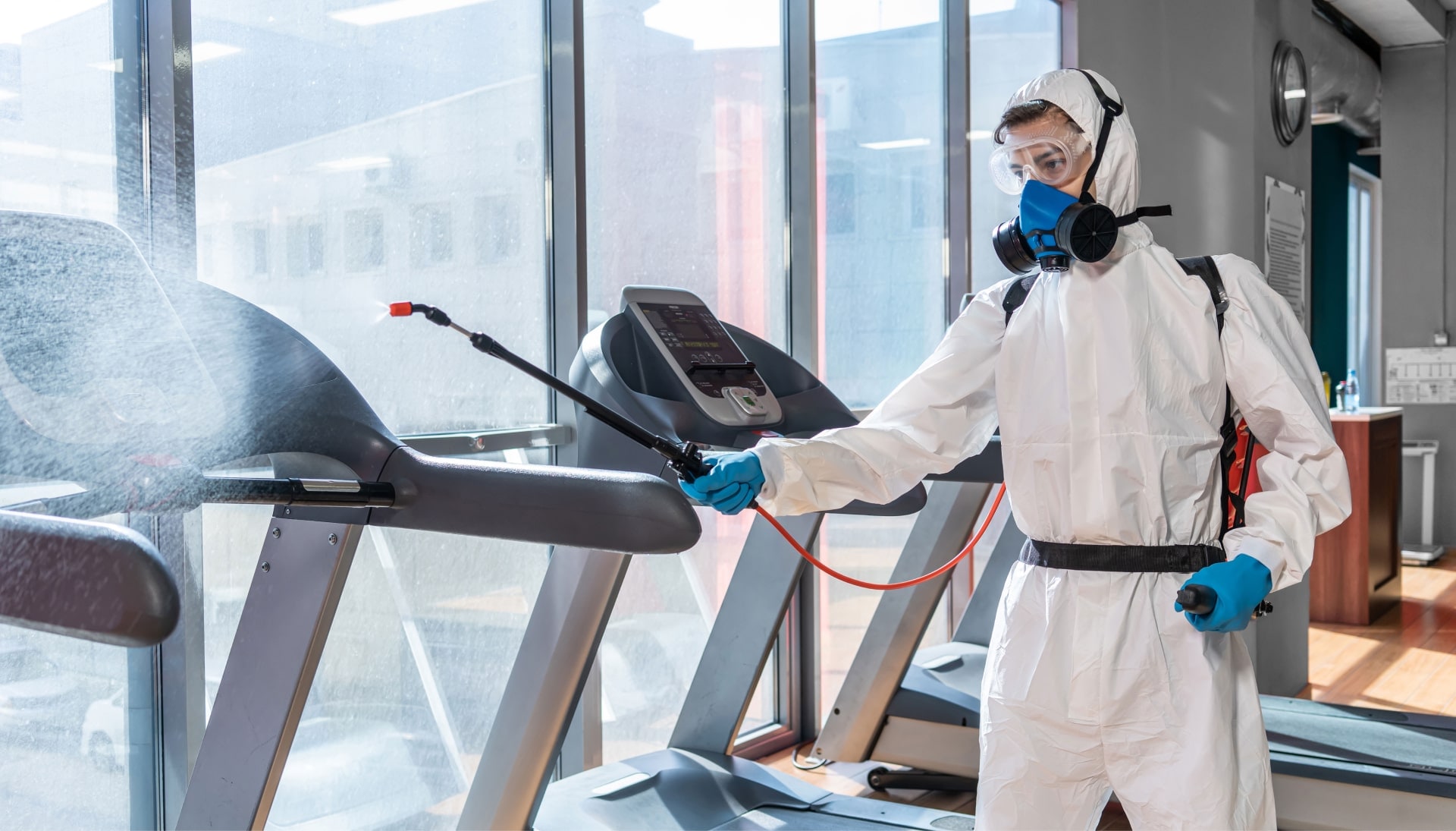 Commercial Mold Removal Services in Torrance