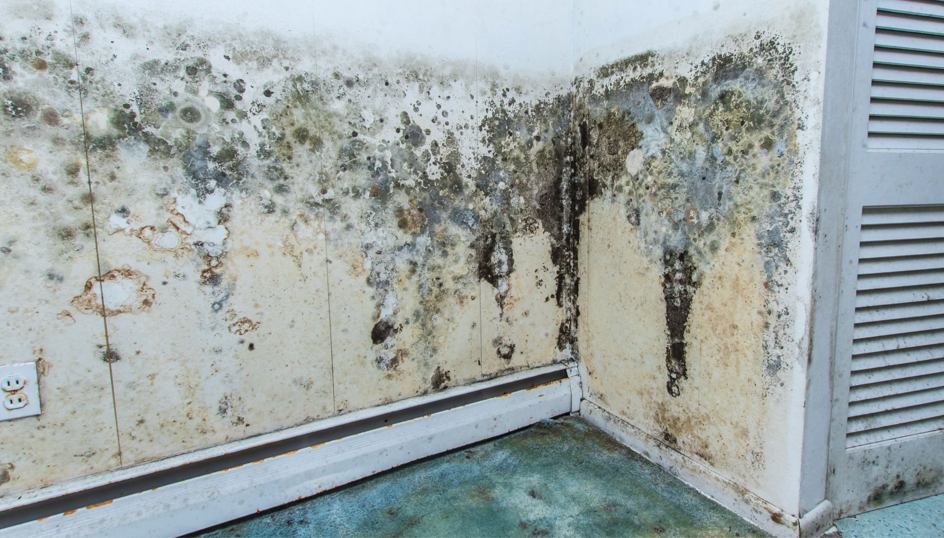Mold Damage Odor Control Services in Torrance