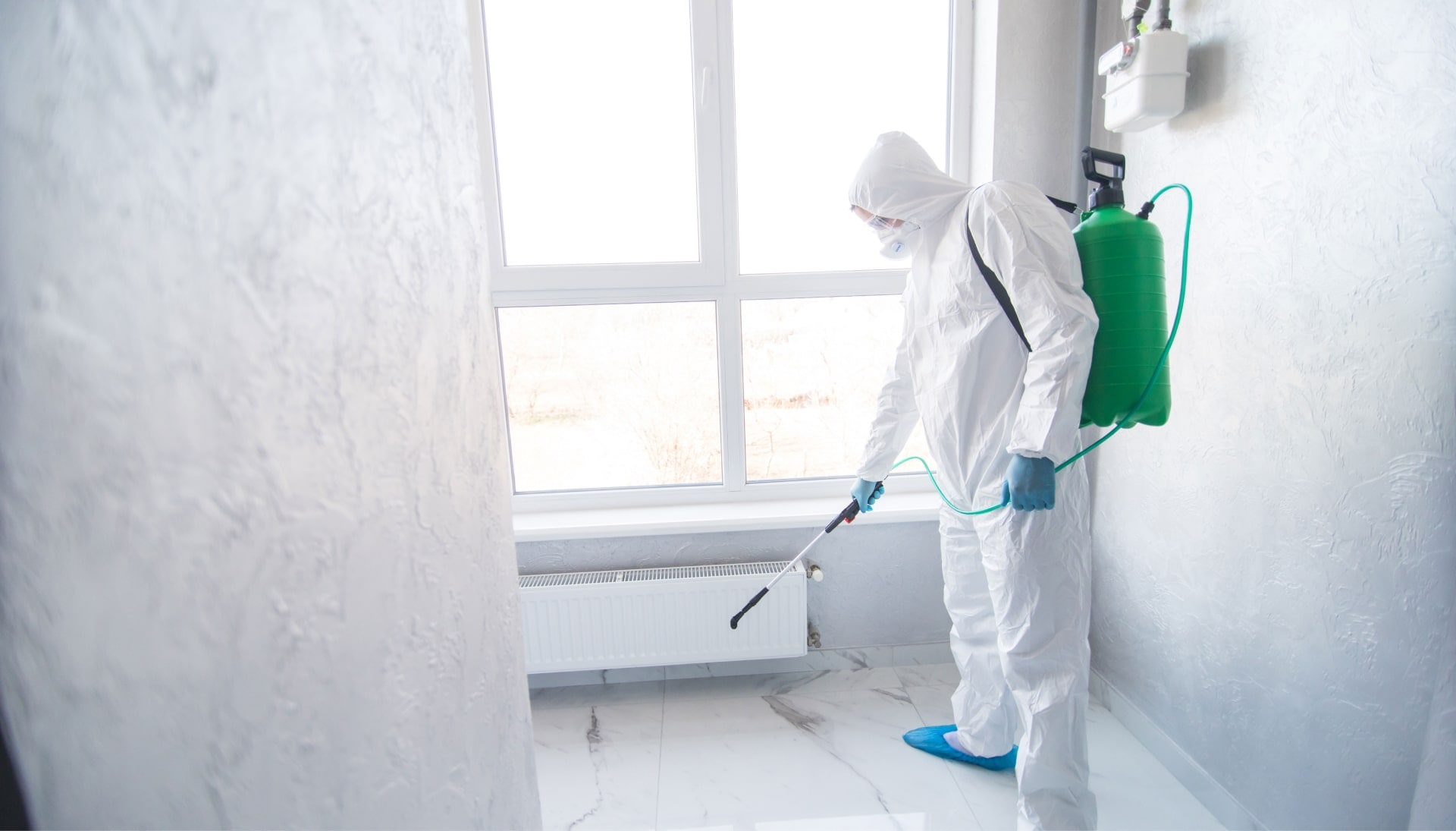 Mold Inspection Services in Torrance